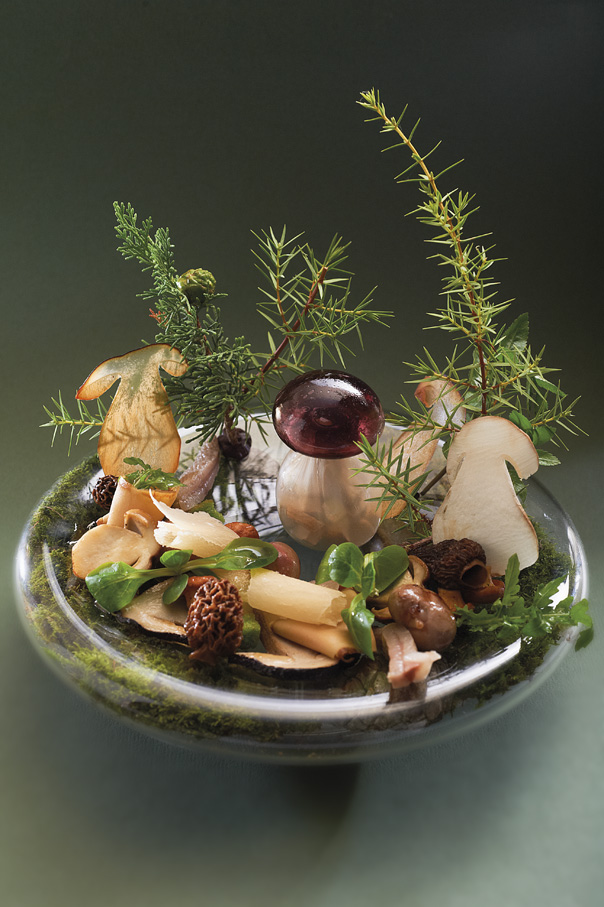 Salade de cèpes par Gilles Goujon