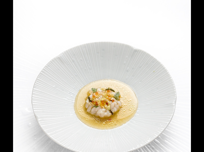 SAINT-JACQUES CRUE, DASHI, CONDIMENT AUX AGRUMES