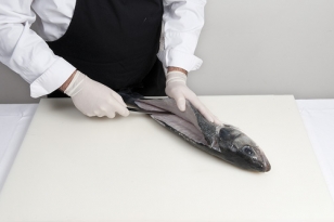 Lever les filets du bar