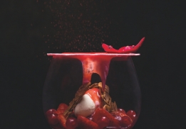  CRATÈRE DE FRUITS ROUGES