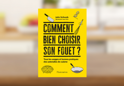 COMMENT BIEN CHOISIR SON FOUET, JULIE SCHWOB