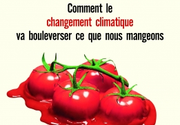 La fin de l'alimentation