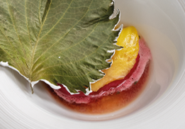 ANANAS ET SHISO