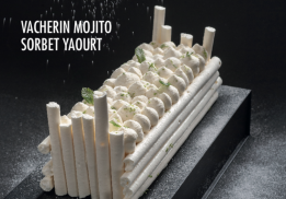  VACHERIN MOJITO SORBET YAOURT