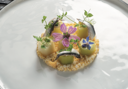 MIMOSA DE POIREAUX, GRIBICHE RELEVÉE À L’ANCHOIS DE COLLIOURE