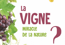 LA VIGNE, MIRACLE DE LA NATURE ?