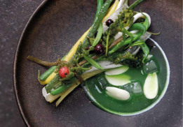 HARICOTS VERTS, ALOE VERA, CASSIS