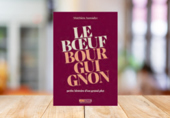 LE BOEUF BOURGUIGNON. PETITE HISTOIRE D’UN GRAND PLAT, MATTHIEU AUSSUDRE