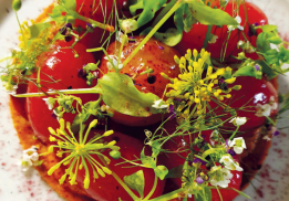 LES TOMATES « CHERRY » EN TEXTURE SERVIES SUR UNE FINE TARTE TOMATE ORIGAN, TENDRE GELÉE, CRÈME DE CORIANDRE, SORBET MOUTARDE VERTE