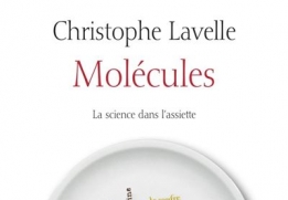 MOLÉCULES, CHRISTOPHE LAVELLE