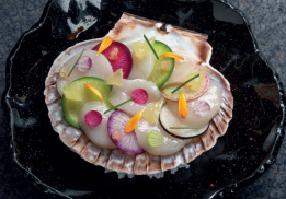 NOIX DE SAINT-JACQUES SERVIE SUR SA COQUILLE, RADIS MULTICOLORE ET AGRUMES