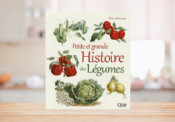 PETITE ET GRANDE HISTOIRE DES LÉGUMES - ÉRIC BIRLOUEZ 