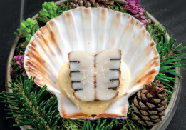 TERRE ET MER, NOIX DE COQUILLE SAINT-JACQUES AUX TRUFFES ET CÉLERI, SAUCE VIN BLANC