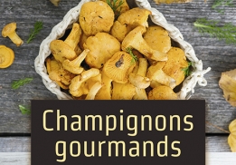 Champignons gourmands - de la cueillette à l’assiette