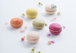 Macarons Gourmands