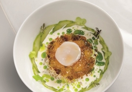 TARTARE DE SAINT-JACQUES, GELÉE AU SAKÉ, LAIT FUMÉ ET HUILE À L’ANETH