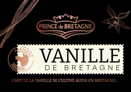 PREMIER MILLÉSIME POUR LA VANILLE BRETONNE