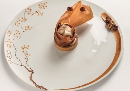 NOISETTE régressive