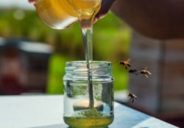 LE PREMIER MIEL LABELLISÉ DES HAUTS-DE-FRANCE