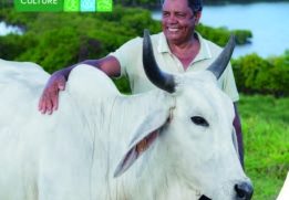 LA CÔTE D’IVOIRE, PROCHAIN PAYS À L’HONNEUR DU SALON DE L’AGRICULTURE