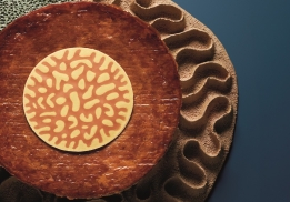 GALETTE DES ROIS PAIN PERDU  