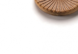 GALETTE POIRE & SARRASIN  