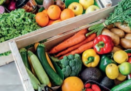 Maison Colom : le primeur des chefs désormais accessible à tous
