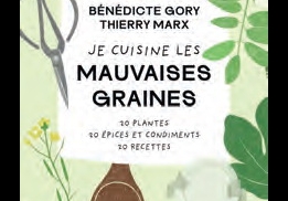 Inspirante Mère Nature
