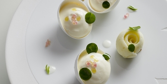 MERINGUE IODÉE AU CITRUS VULCANO, KÉFIR DE BREBIS À L’HUILE D’OLIVE DE SICILE