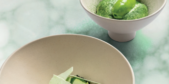 NAVET, COCO CERFEUIL : SORBET, PASTILLAGE