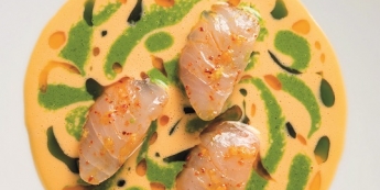 LE MUGE DE MÉDITERRANÉE, VELOURS CREVETTE, BASILIC, ALOE VERA