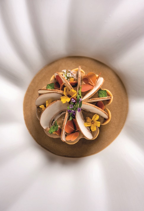 TARTELETTES AUX CHAMPIGNONS