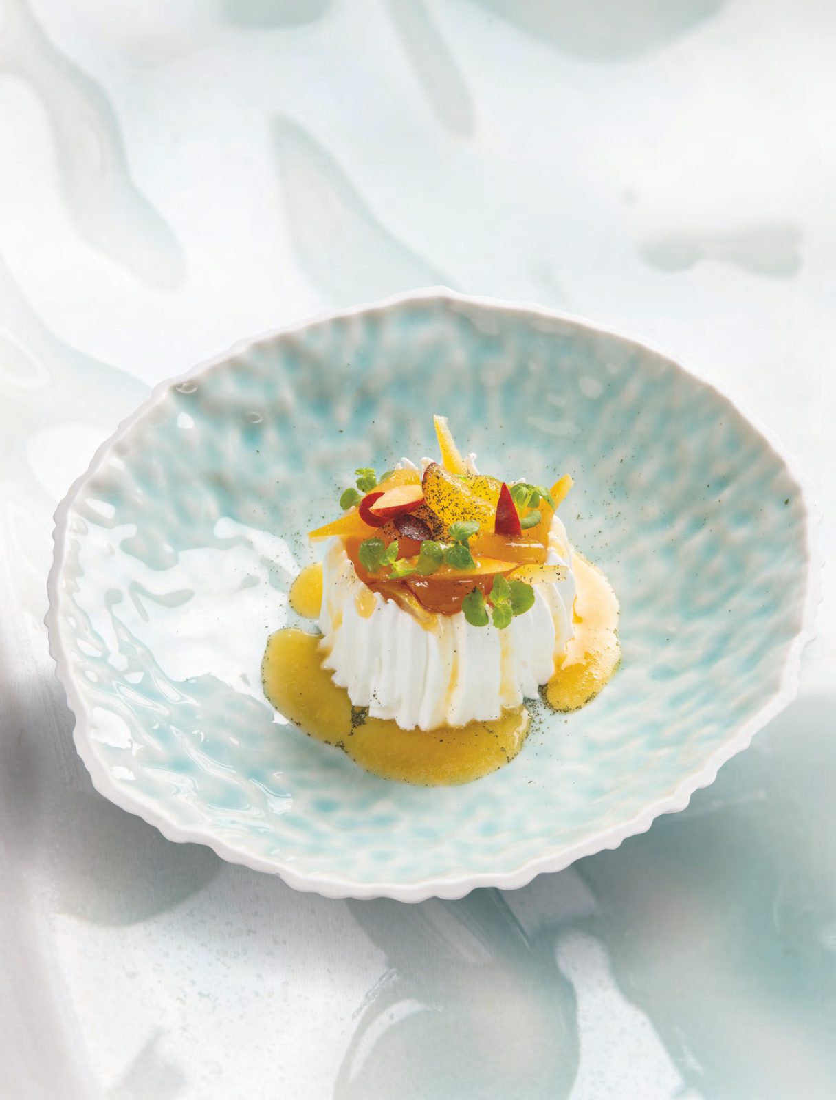 Vacherin pêche shiso