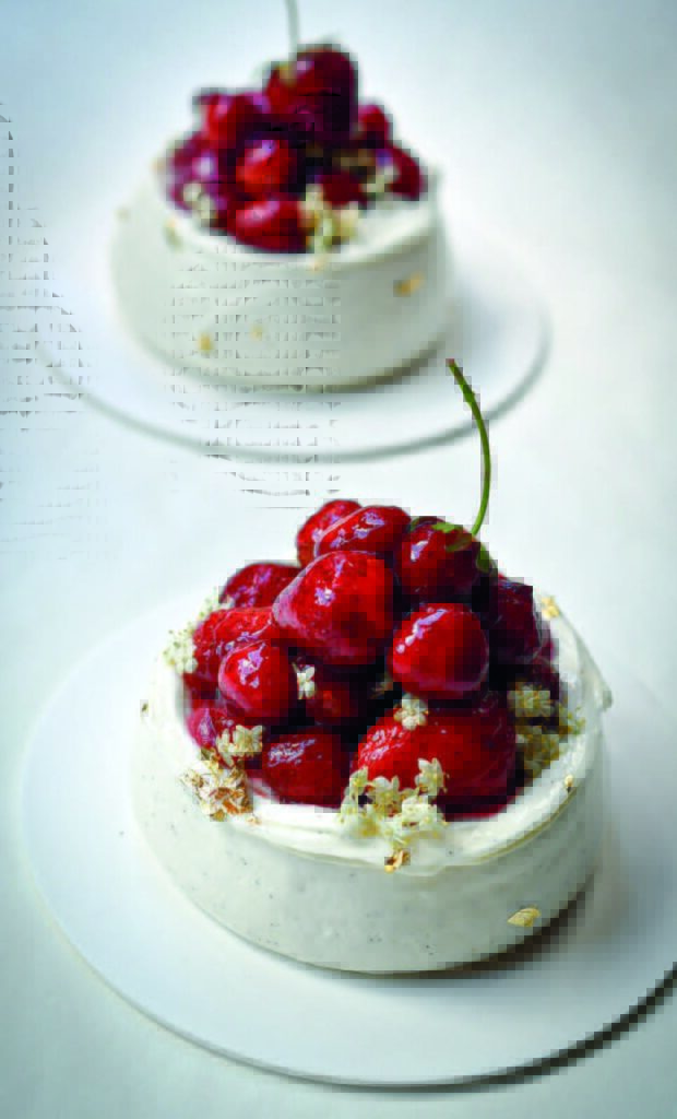 FRAISIER AUX PETITES MARAS DES BOIS & FLEUR DE SUREAU