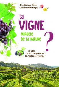 La Vigne, Miracle de la Nature ?