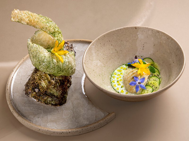 L’HUÎTRE « GIOL » DE LA LAGUNE DE TAMARIS, Kiwi, concombre, sapin et couenne de porc soufflée