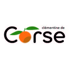 La clémentine de Corse fête ses 100 ans