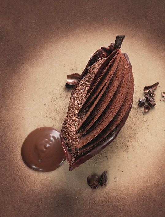 Chocolat grand cru são tomé  en déclinaison, sorbet au mucilage
