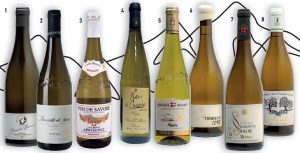 Savoie, un Vignoble Qui Monte