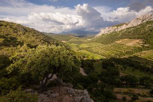La Vallée du Rhône, Partie Méridionale