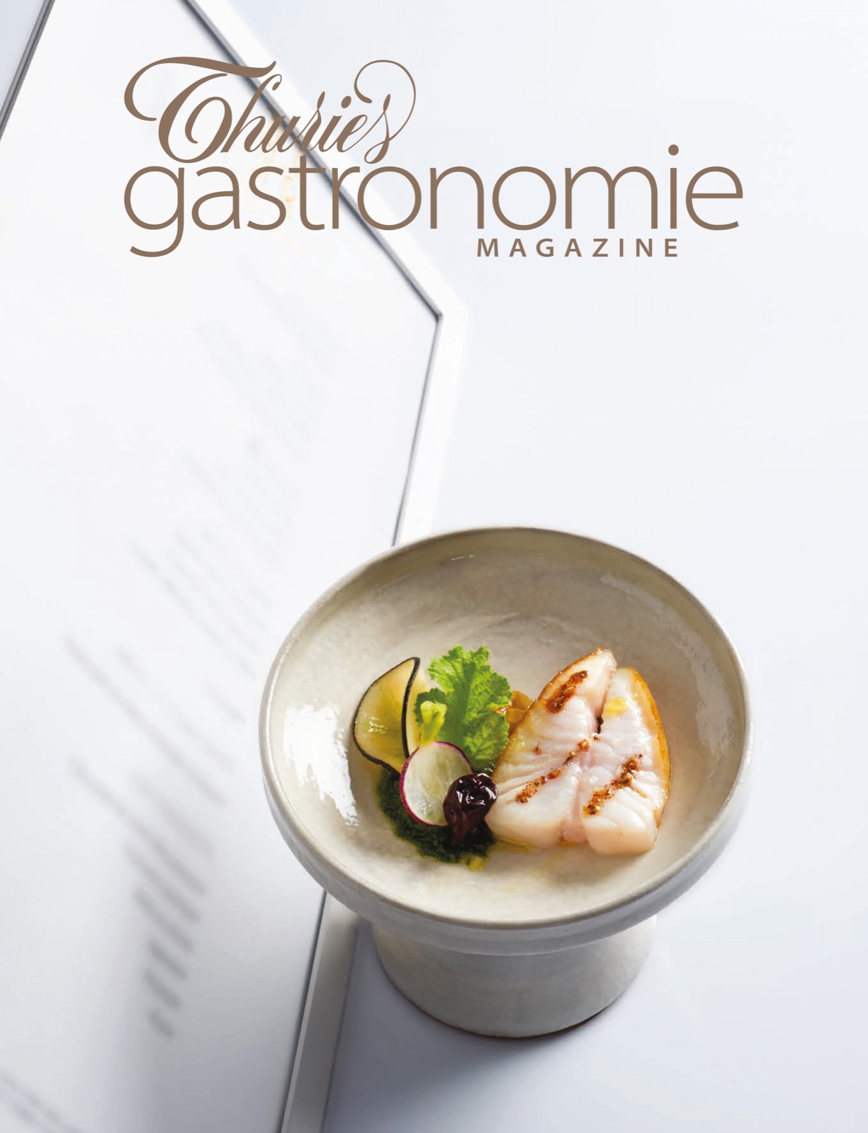 Thuries Magazine 255